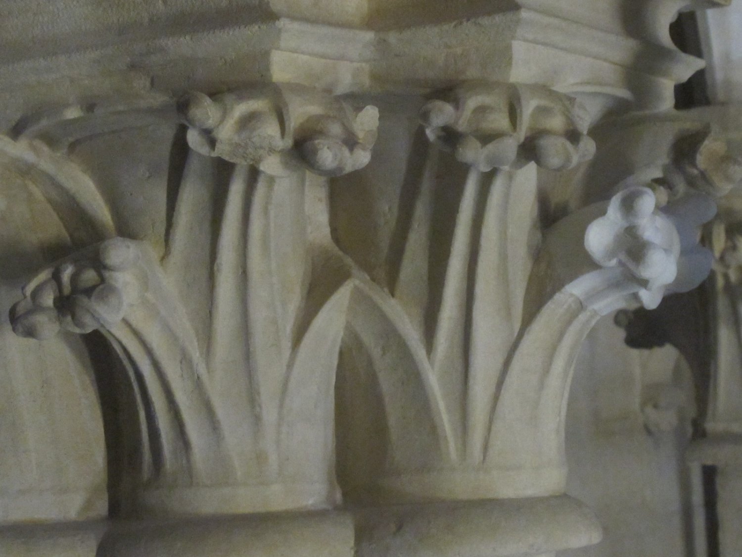 Visite inédite de la Cathédrale Saint Jean de Lyon