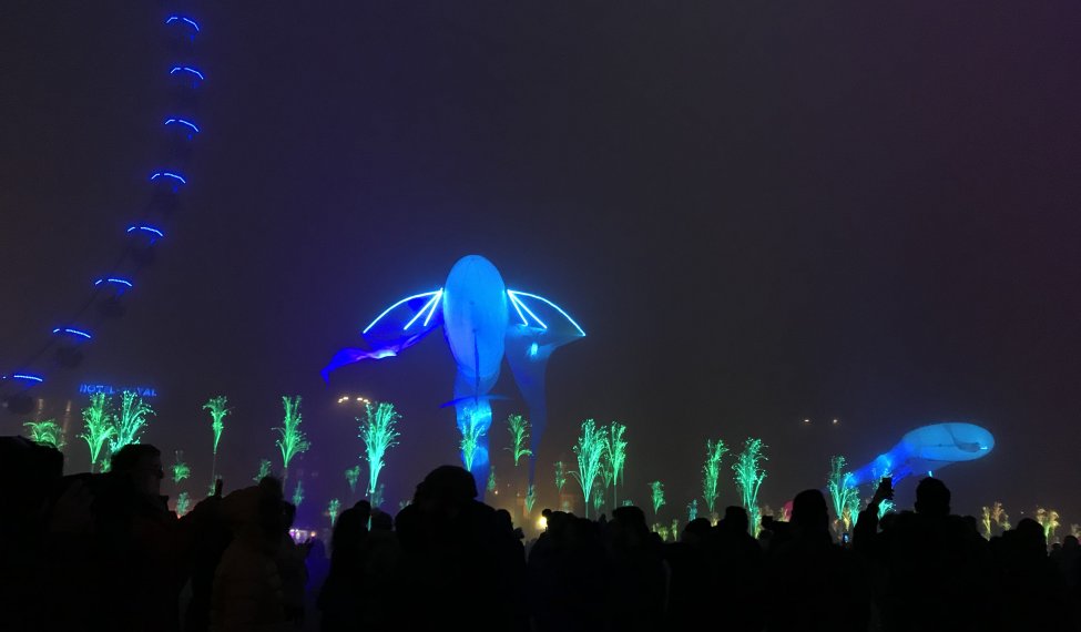 Poisson volant Place Bellecour