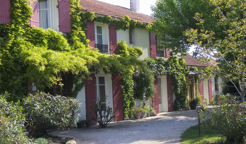 A "Châteauneuf-du-Pape" wine producer