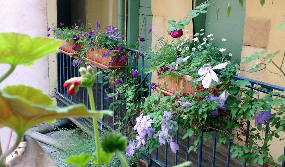 Self-catering rental with a large capacity