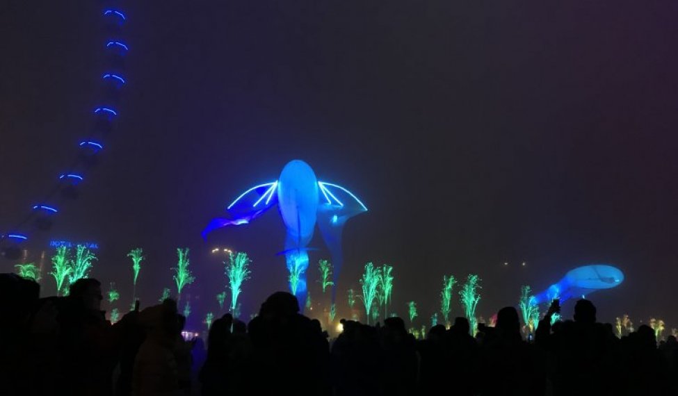 8 Décembre 2019